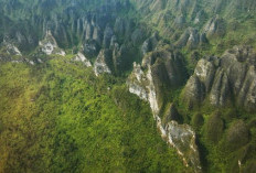 Pemekaran Wilayah Kalimantan Timur: Wacana Pembentukan Kabupaten Sangkulirang Semangat Masyarakat Lokal