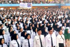 Belasan PPPK Paruh Waktu di OKU Batal Diangkat