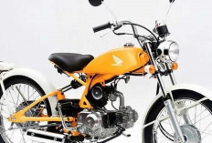 Kenalan dengan Honda Solo, Motor Satu Jok yang Harganya Setara Motor Baru
