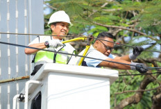 Bukan Cuma Soal Estetika, Ini Alasan Ratu Dewa Tanam Kabel Utilitas ke Bawah Tanah