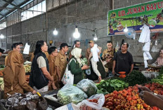 Pemkab Muba Siap Dukung Upaya Pangan Aman di Musi Banyuasin 