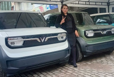 Daftar Harga Mobil Listrik VinFast 2026 di Indonesia, Mulai Rp 230 Jutaan