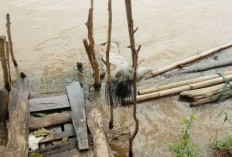 Heboh Warga Temukan Sosok Mayat di Jembatan Setan Sungai Ogan , Ternyata Sosok Ini