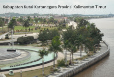 Pemekaran Wilayah Kalimantan Timur: Wacana Pembentukan Kabupaten Kutai Benua Raya Untuk Kesejahteraan