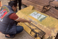 Curi Komponen Bulldozer Senilai Rp30 Juta, Dua Warga Muba Diamankan Polsek Lais