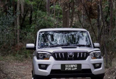 Mobil Pikap Mahindra untuk Koperasi Merah Putih Tuai Polemik, Ini Harga dan Spesifikasinya