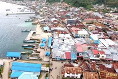 Pemekaran Wilayah Sulawesi Tengah: Wacana Pembentukan Provinsi Sulawesi Timur Percepat Pemerataan Pembangunan