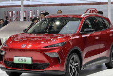 SUV Listrik Keluarga Baru, MG S5 EV Tantang BYD Atto 3 di Indonesia