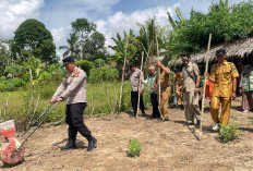 Polsek RKT Prabumulih Tanam Jagung Varietas Unggul, Perkuat Ketahanan Pangan di Desa Sinar Rambang