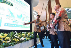 PLN Dukung Pengembangan Geotermal Indonesia, Siap Kolaborasi untuk Ketahanan Energi Nasional
