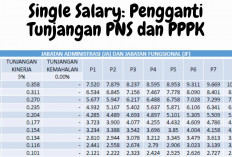 Skema Single Salary Mulai Disiapkan: Begini Selisih Gaji PNS dan PPPK Jika Diterapkan 2026