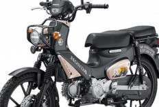 Tampil Beda! Honda Cross Cub 110 Special Edition 2026 Usung Warna Eksklusif dan Desain Ikonik