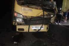 Tabrak Truk Tronton, 1 Penumpang Colt Diesel Tewas