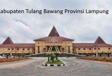 Pemekaran Wilayah Lampung: Calon Kabupaten Tulang Bawang Timur dengan Potensi Besar di Sektor Pertanian