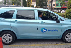 Lulusan Double Degree Beasiswa Luar Negeri Jadi Driver Bluebird demi Bantu Pemulihan Orangtua