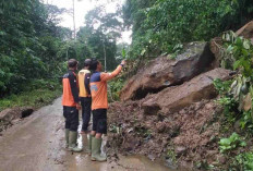 BPBD OKU Bersihkan Material Tanah Longsor di Jalan Desa Gunung Meraksa