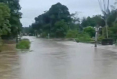 Desa Margo Bakti OKI Terendam Banjir, Dampak Curah Hujan yang Tinggi!