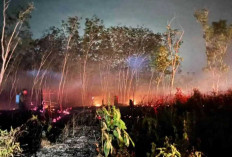 Kebakaran Lahan Kosong di Baturaden Lubuk Raja, Warga dan Petugas Bergerak Cepat