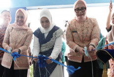 Bunda PAUD Sumsel Feby Herman Deru Luncurkan TAMASYA, Dukung Pengasuhan Anak yang Aman dan Berkualitas