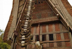 Wacana Pemekaran Wilayah Sulawesi Selatan: Provinsi Tana Toraja Diproyeksikan Jadi Pusat Wisata Budaya