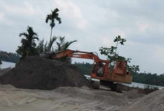 Pemekaran Wilayah Sumatera Utara: Wacana Pembentukan Provinsi Sumut Barat Jadi Pusat Pertumbuhan Ekonomi Baru
