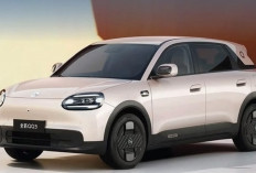 Bukan Sekadar Mobil Listrik, Chery Q Hadir dengan Pet Mode hingga Camping Mode
