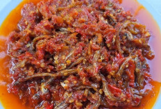 Sambal Ikan Teri Kian Populer, Kuliner Sederhana yang Naik Kelas