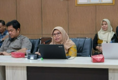 Pemprov Sumsel Lanjutkan Program Ekonomi Hijau dan Ketahanan Iklim Usai Lima Tahun Land4Lives