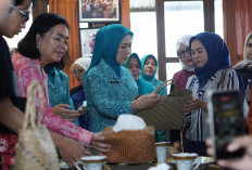 Ketua TP PKK Sumsel Feby Deru Susuri Galeri hingga Dapur Produksi Rude Gebol Djuai, Serap Aspirasi Perajin Pur