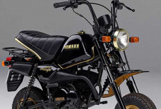 Langka dan Ikonik! Yamaha Pocke Midnight, Motor 50cc Kecil dengan Aura Premium