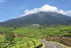 3 Tempat Wisata di Sumatera Selatan yang Wajib Dikunjungi Saat Libur Nataru 2026