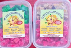 Umpan Lempeng Buatan Sendiri Terbukti Efektif, Ikan Sungai Liar Mudah Terkait Kail