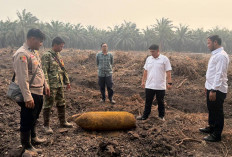 Geger! Martir Berkarat Sepanjang 1 Meter Ditemukan di Kebun Sawit Ogan Ilir