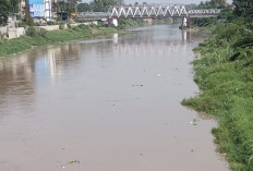 Sungai Enim Berubah, Diduga Tercemar Limbah Lumpur