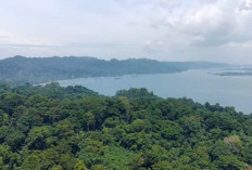 Pemekaran Wilayah Jawa Tengah: Calon Provinsi Jasela Kombinasi Harmonis Budaya Jawa dan Sunda