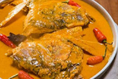 Gulai Kepala Kakap, Kuliner Tradisional yang Terus Menggugah Selera di Tengah Tren Makanan Modern