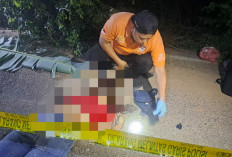Warga Pemulutan Geger, Mayat Perempuan Ditemukan di Pinggir Jalan, Polisi Lakukan Penyelidikan Intensif