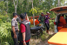 Tiga Hari Hilang, Petani di OKU Ditemukan Tak Bernyawa di Pinggir Sungai
