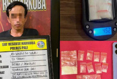 Satresnarkoba Polres PALI Ringkus Tersangka Kasus Narkotika di Desa Tempirai