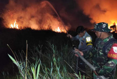 Kebakaran Lahan Gambut di Ogan Ilir Dekati Permukiman dan Jalan Tol, Diduga Dibakar Orang Tak Dikenal