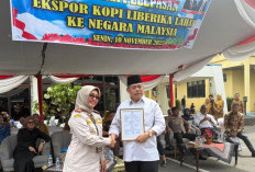 18.5 Ton Kopi Liberika Asal Sumatera Selatan Diekspor ke Malaysia, Karantina Sumsel Pastikan Kualitas Terjamin