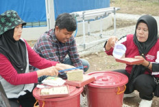 PT Semen Baturaja Kembangkan Program Hidroponik