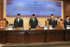 Dukung Proyek Strategis Nasional, Gubernur Ajukan Perubahan Raperda PT Sumsel Energi Gemilang