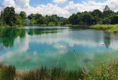 Pemekaran Wilayah Kalimantan Timur: Wacana Pembentukan Kabupaten Kutai Pesisir Desakan dari Masyarakat