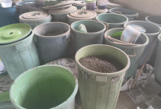 UNSRI Olah Sampah Organik Jadi Kompos dan Pupuk Cair, Wujudkan Kampus Zero Waste 