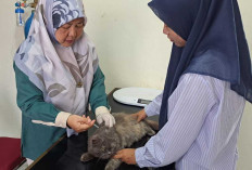 Selama Ramadan 1447 H, Puskeswan Prabumulih Tetap Buka Layani Pemeriksaan Kesehatan Hewan