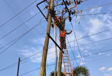 Pasca Idul Fitri, PLN ULP Lubuklinggau Perkuat Keandalan Listrik Lewat Perbaikan Saluran Kabel Tegangan Meneng