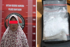 Emak-emak di Muara Telang Banyuasin Ditangkap, Sabu 37,30 Gram Disita dari Kotak Makan