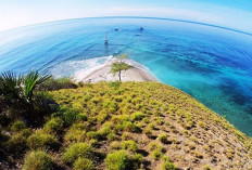 Pemekaran Wilayah Nusa Tenggara Timur: Wacana Pembentukan Provinsi Sumba Utara Andalkan Energi Terbarukan