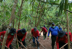 PT REKI Perkuat Pencegahan Karhutla di Hutan Harapan, Patroli dan Pemantauan Hotspot Ditingkatkan